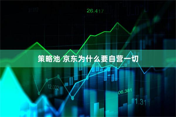 策略池 京东为什么要自营一切