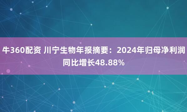 牛360配资 川宁生物年报摘要：2024年归母净利润同比增长48.88%