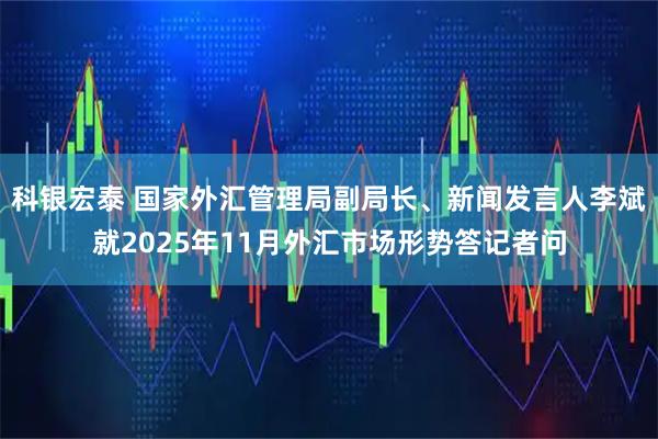 科银宏泰 国家外汇管理局副局长、新闻发言人李斌就2025年11月外汇市场形势答记者问