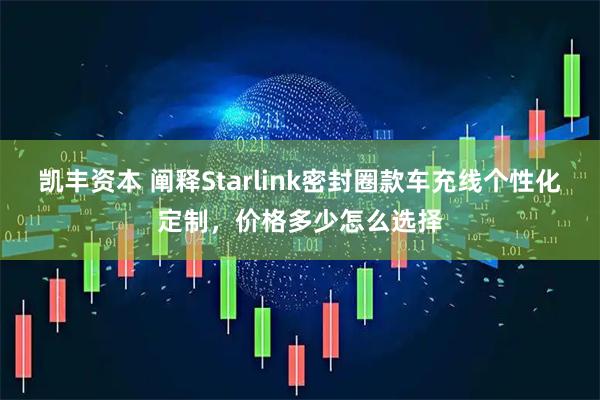 凯丰资本 阐释Starlink密封圈款车充线个性化定制，价格多少怎么选择