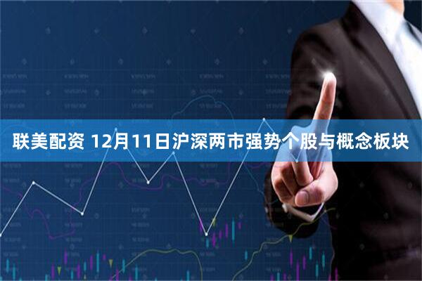 联美配资 12月11日沪深两市强势个股与概念板块