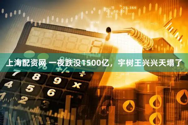 上海配资网 一夜跌没1500亿，宇树王兴兴天塌了