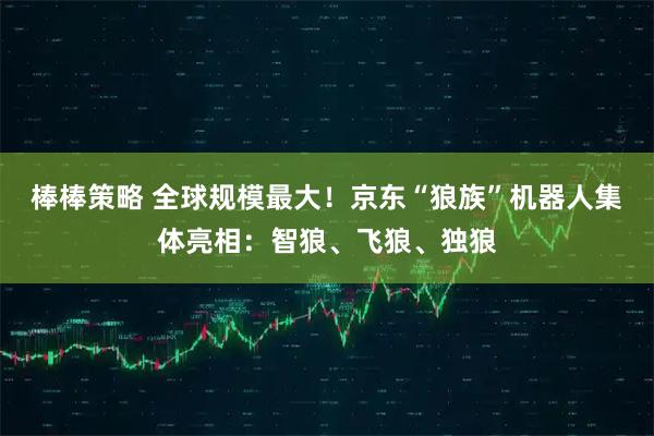 棒棒策略 全球规模最大！京东“狼族”机器人集体亮相：智狼、飞狼、独狼